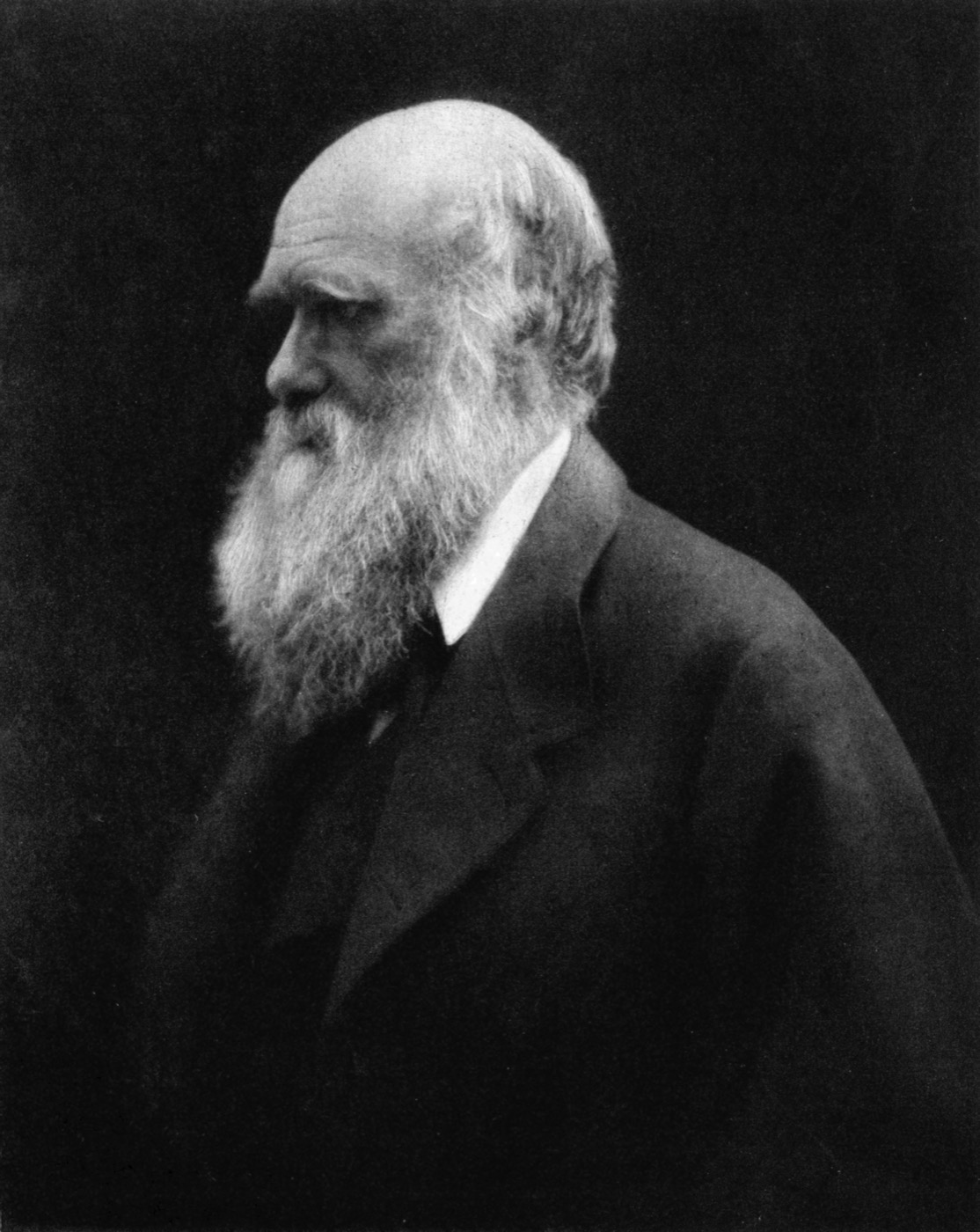 Charles Darwin photographed by Julia Margaret Cameron in 1868
